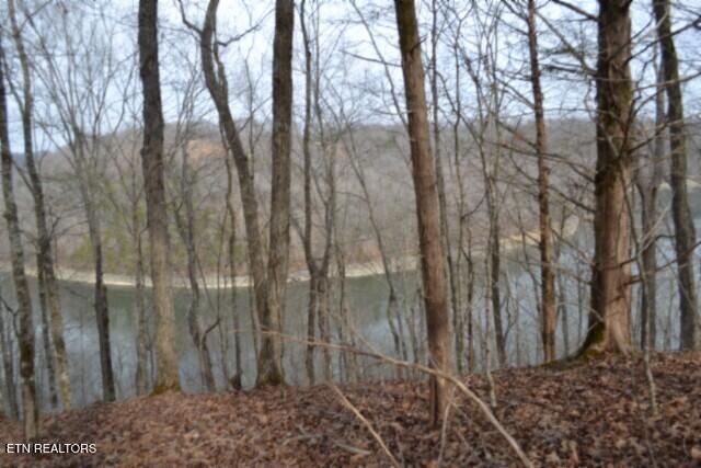 6.49AC Garrett Town Lane Monroe TN 38573