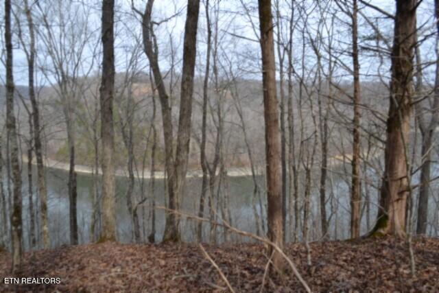 6.49AC Garrett Town Lane Monroe TN 38573