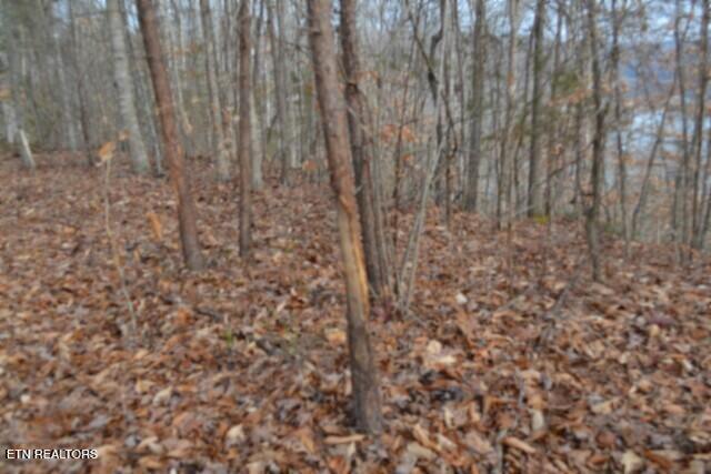 6.49AC Garrett Town Lane Monroe TN 38573