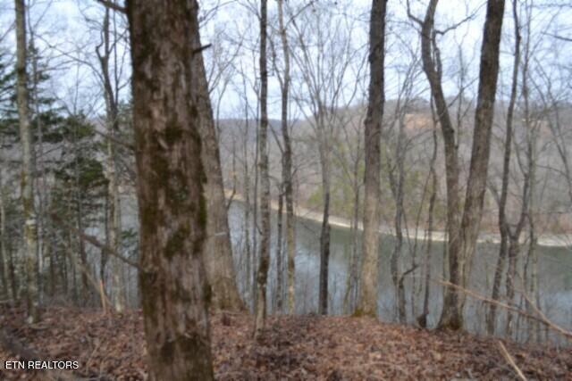 6.49AC Garrett Town Lane Monroe TN 38573