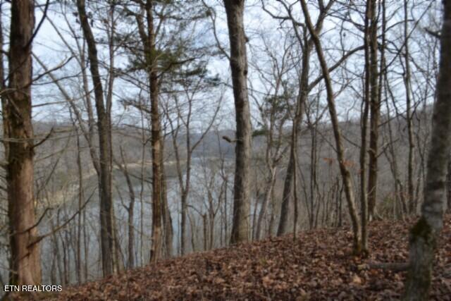 6.49AC Garrett Town Lane Monroe TN 38573