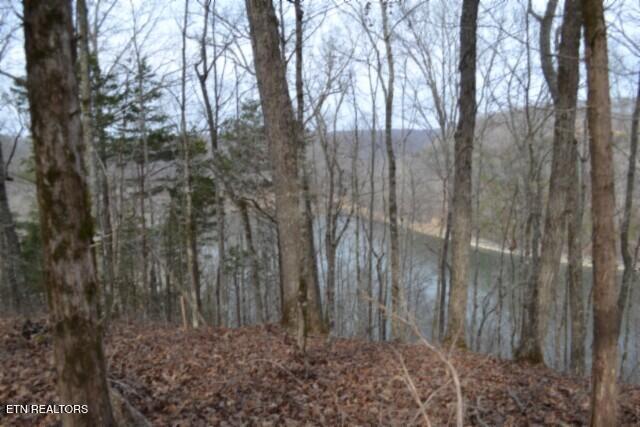 6.49AC Garrett Town Lane Monroe TN 38573