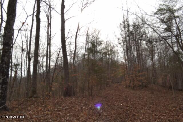 6.49AC Garrett Town Lane Monroe TN 38573