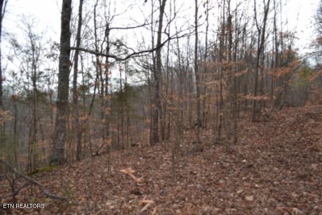 6.49AC Garrett Town Lane Monroe TN 38573