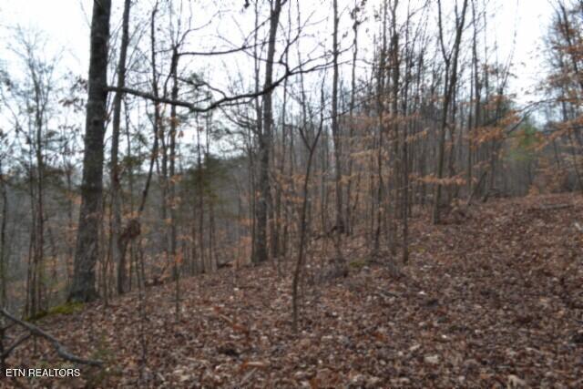6.49AC Garrett Town Lane Monroe TN 38573