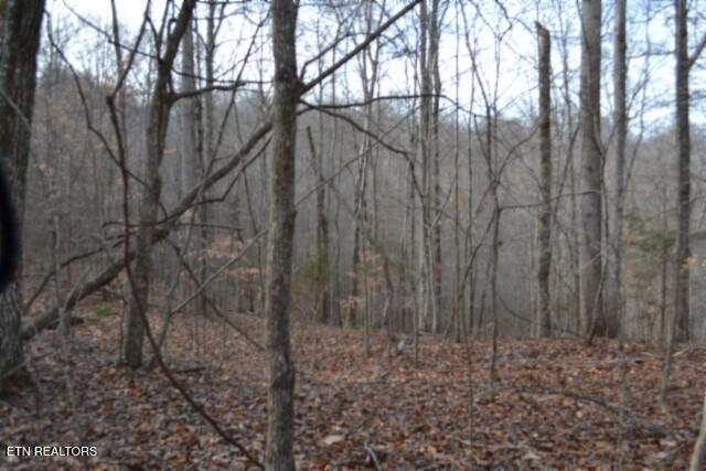 6.49AC Garrett Town Lane Monroe TN 38573