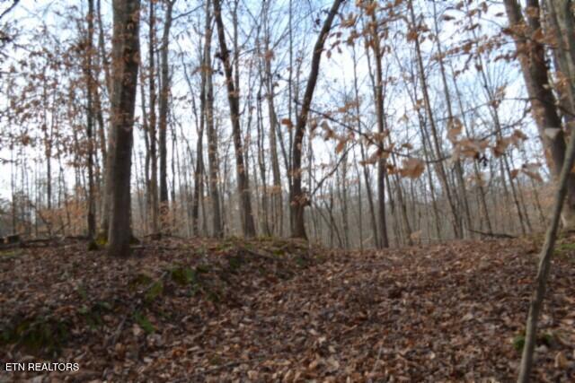 6.49AC Garrett Town Lane Monroe TN 38573