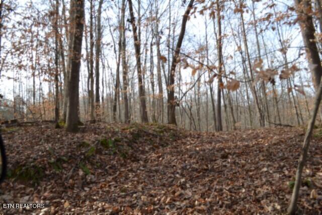 6.49AC Garrett Town Lane Monroe TN 38573