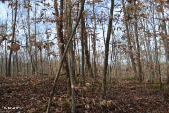 6.49AC Garrett Town Lane Monroe TN 38573