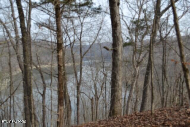 6.49AC Garrett Town Lane Monroe TN 38573