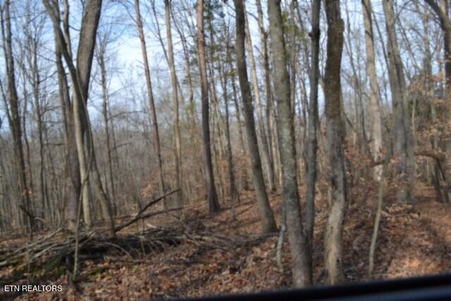 6.49AC Garrett Town Lane Monroe TN 38573