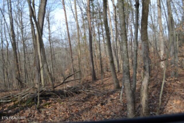 6.49AC Garrett Town Lane Monroe TN 38573