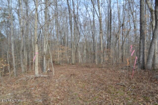 6.49AC Garrett Town Lane Monroe TN 38573
