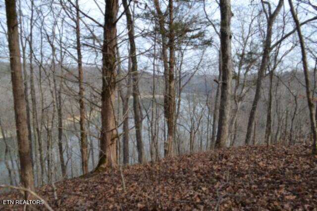 6.49AC Garrett Town Lane Monroe TN 38573