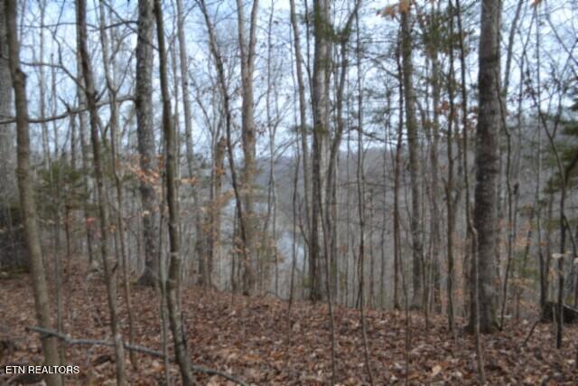 6.49AC Garrett Town Lane Monroe TN 38573