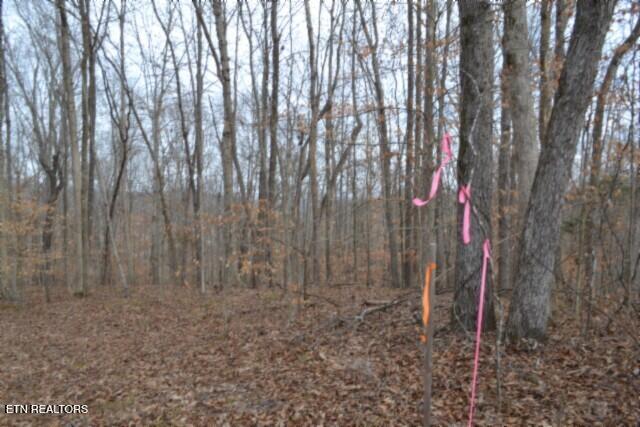 6.49AC Garrett Town Lane Monroe TN 38573