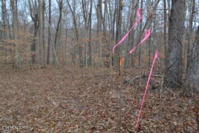 6.49AC Garrett Town Lane Monroe TN 38573