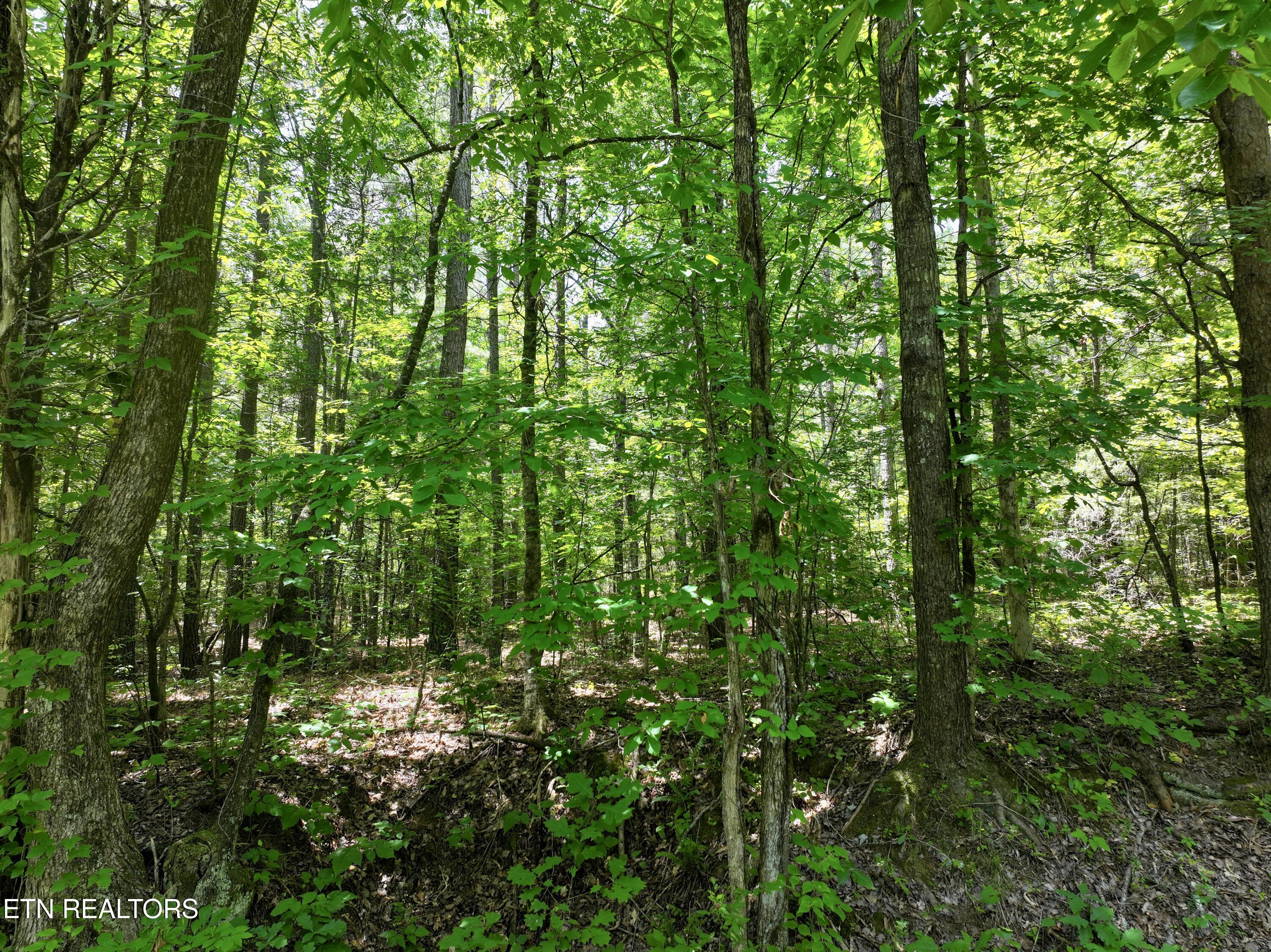 545 Ridge Road Madisonville TN 37354