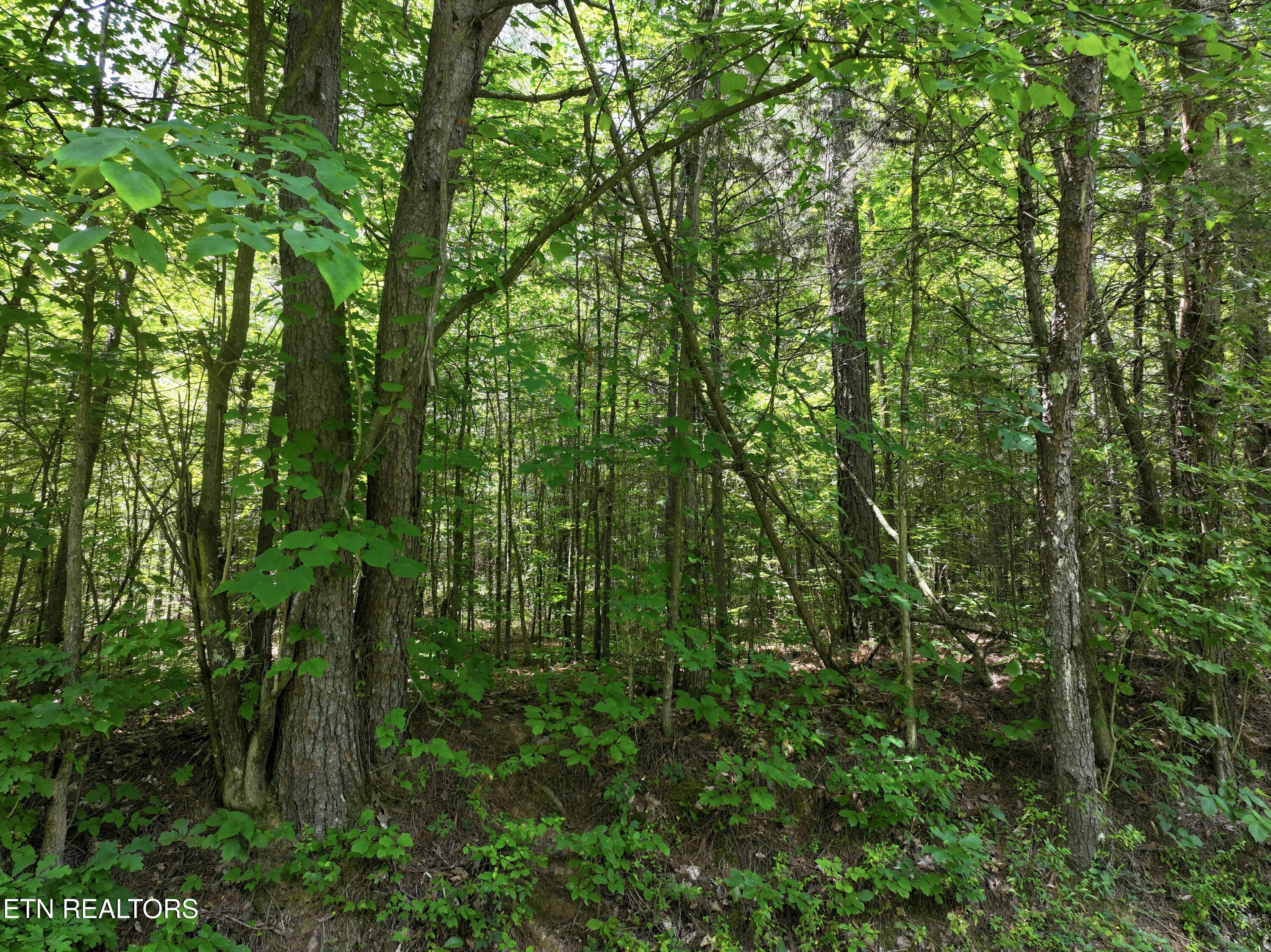 545 Ridge Road Madisonville TN 37354