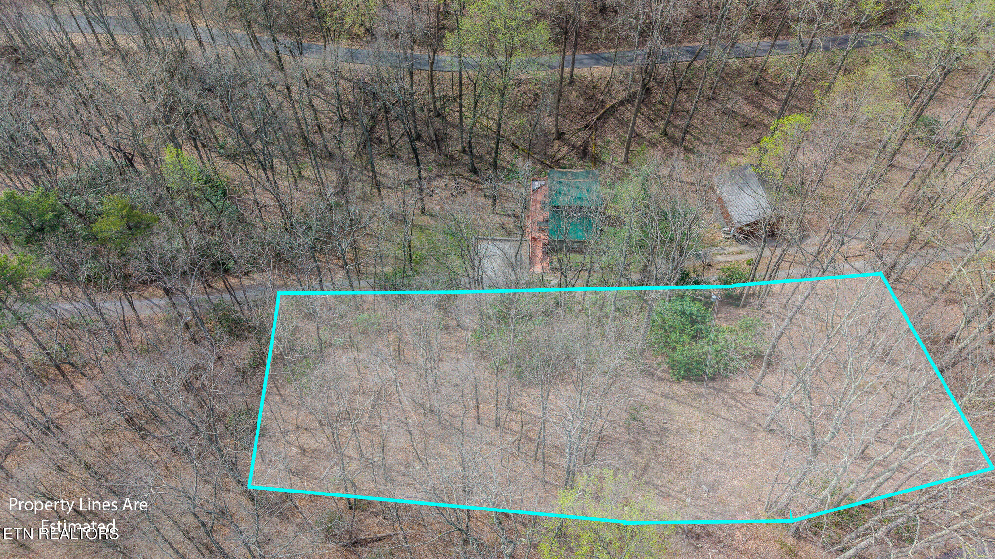 Bluff Mountain Road Sevierville TN 37862