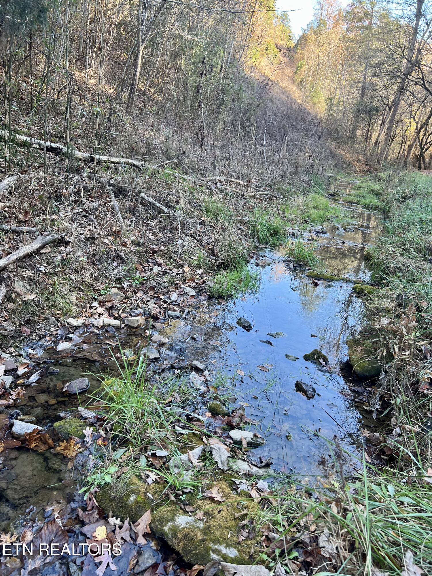 00 Porter Johns Road Tazewell TN 37879
