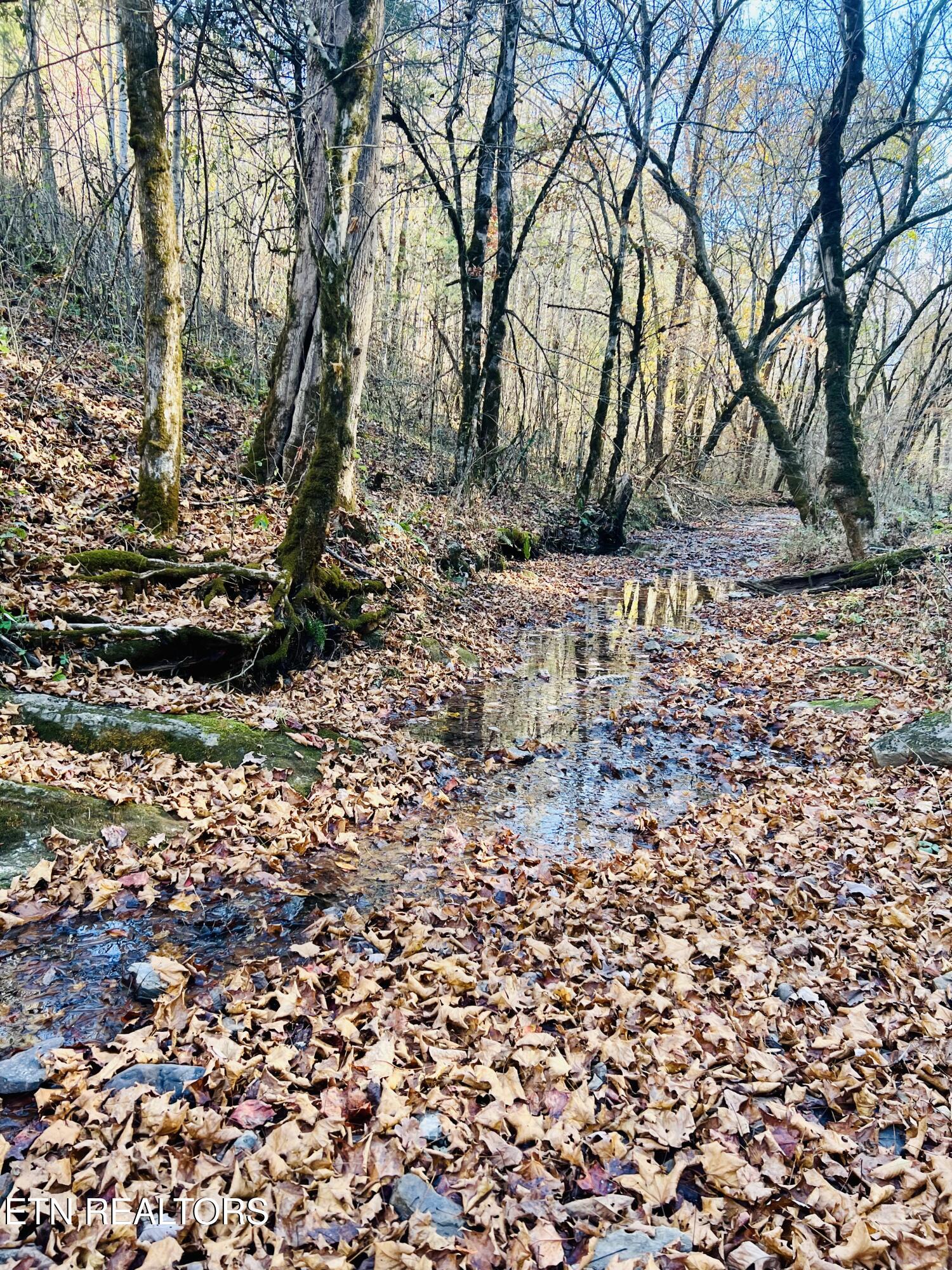 00 Porter Johns Road Tazewell TN 37879
