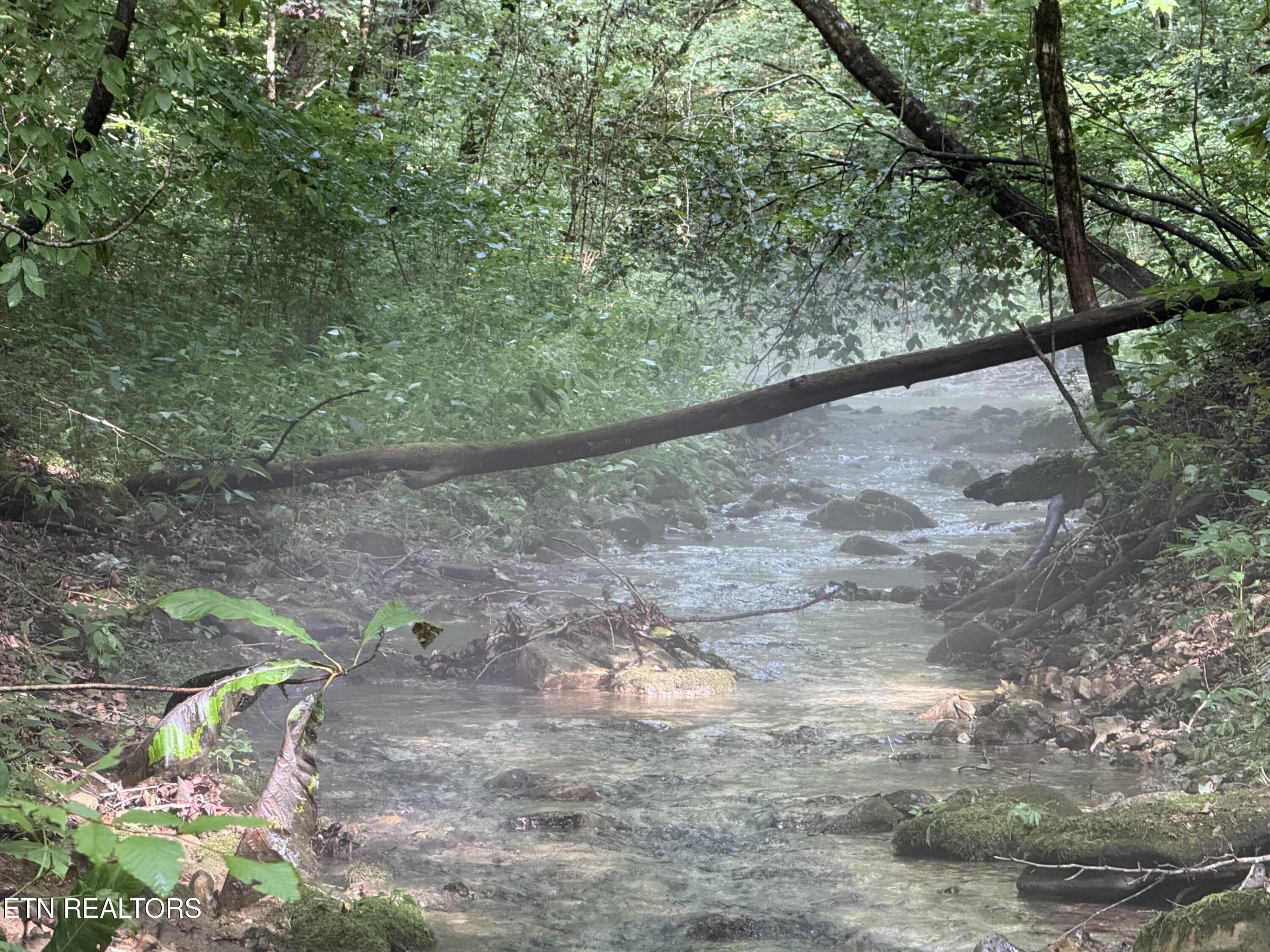 Lonesome Valley Road New Tazewell TN 37825