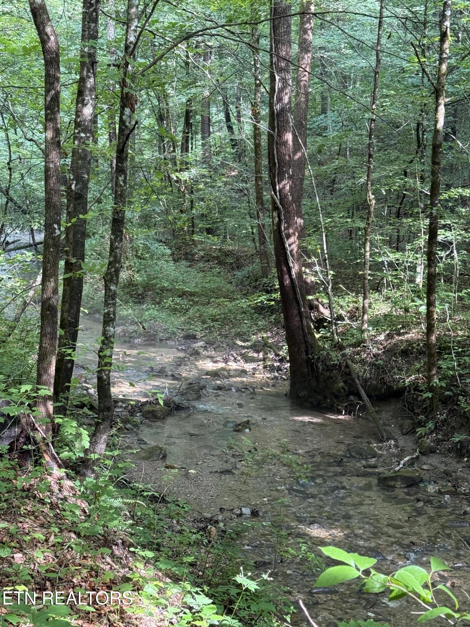 Lonesome Valley Road New Tazewell TN 37825