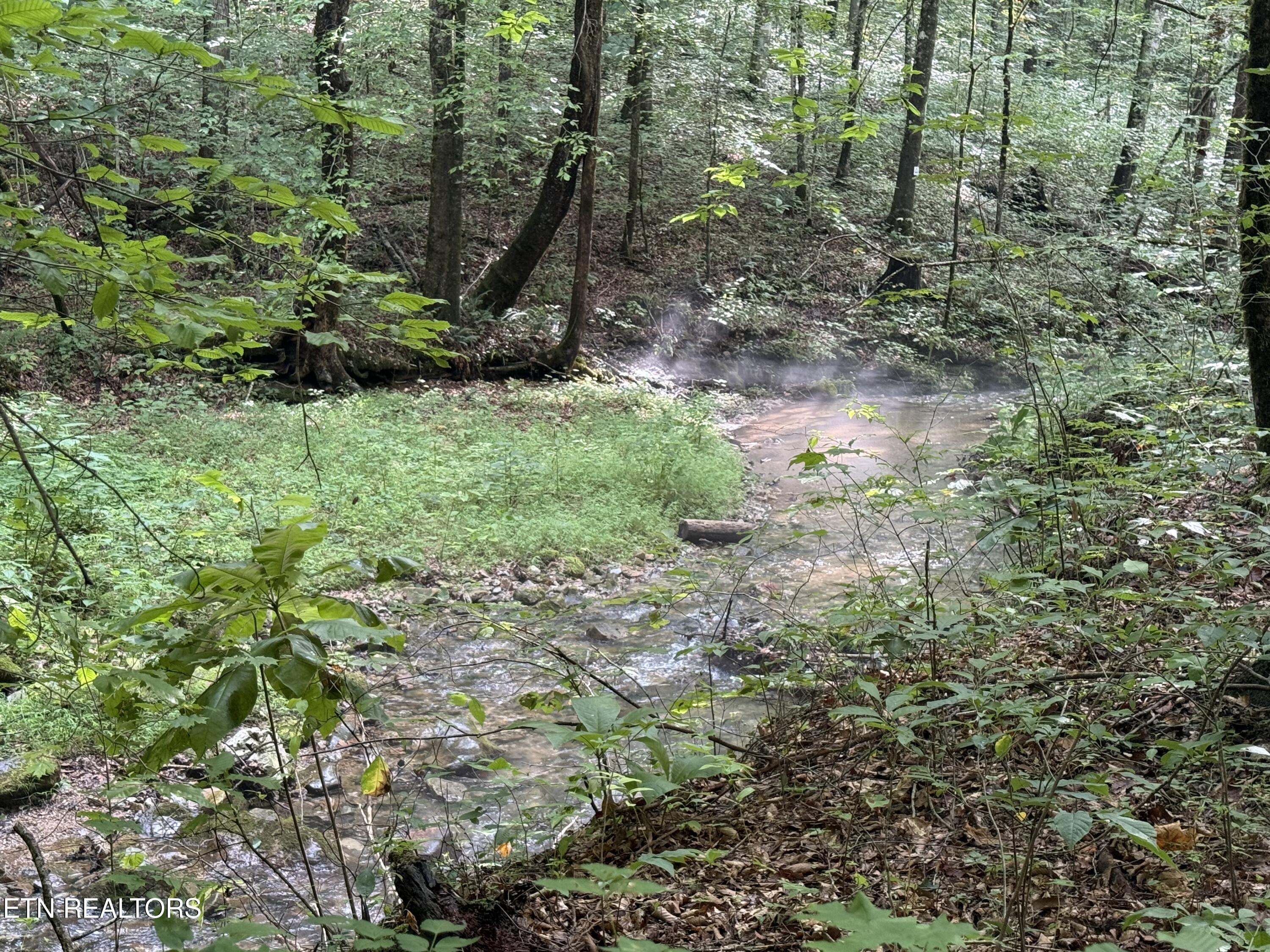 Lonesome Valley Road New Tazewell TN 37825
