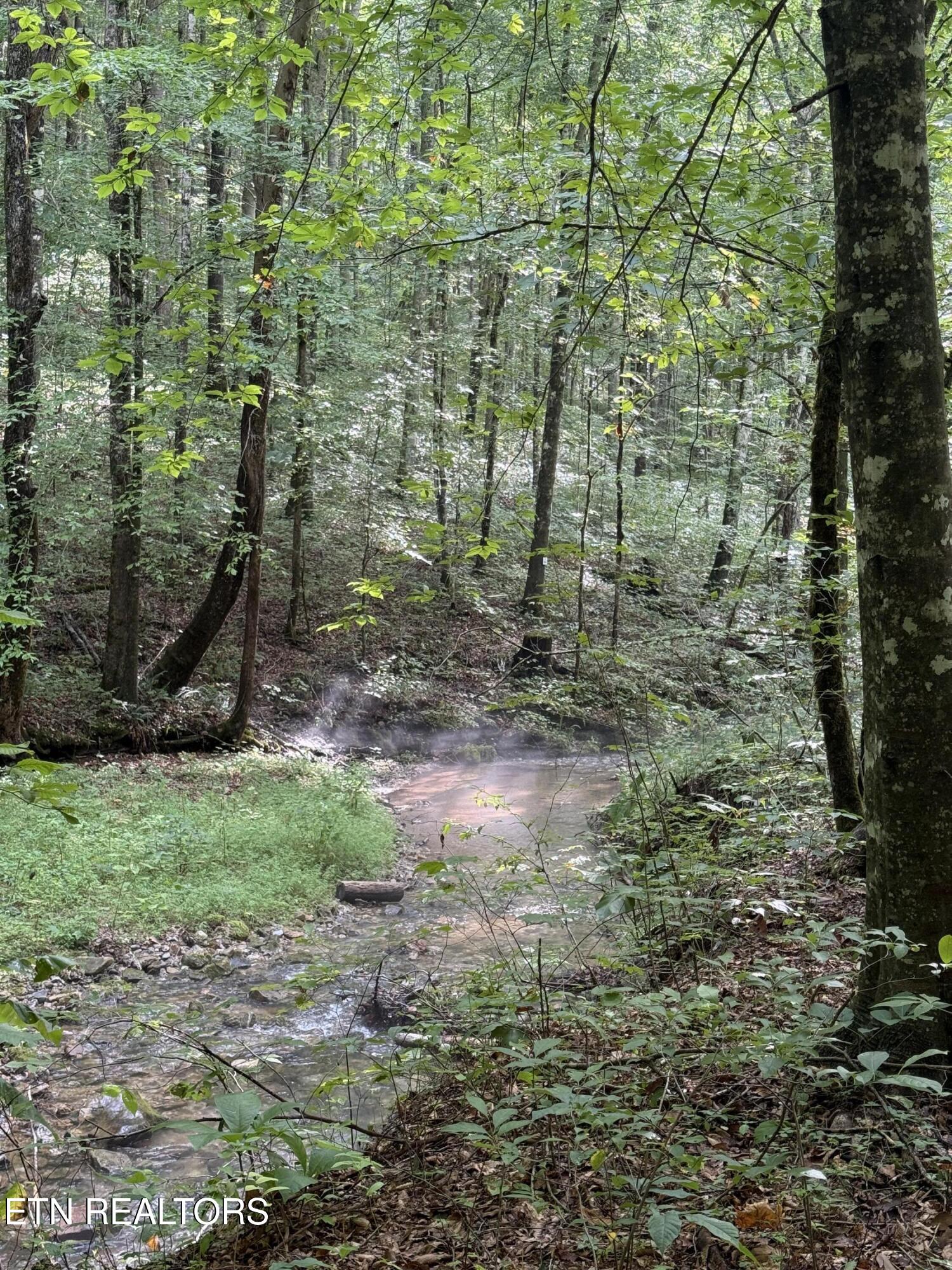 Lonesome Valley Road New Tazewell TN 37825