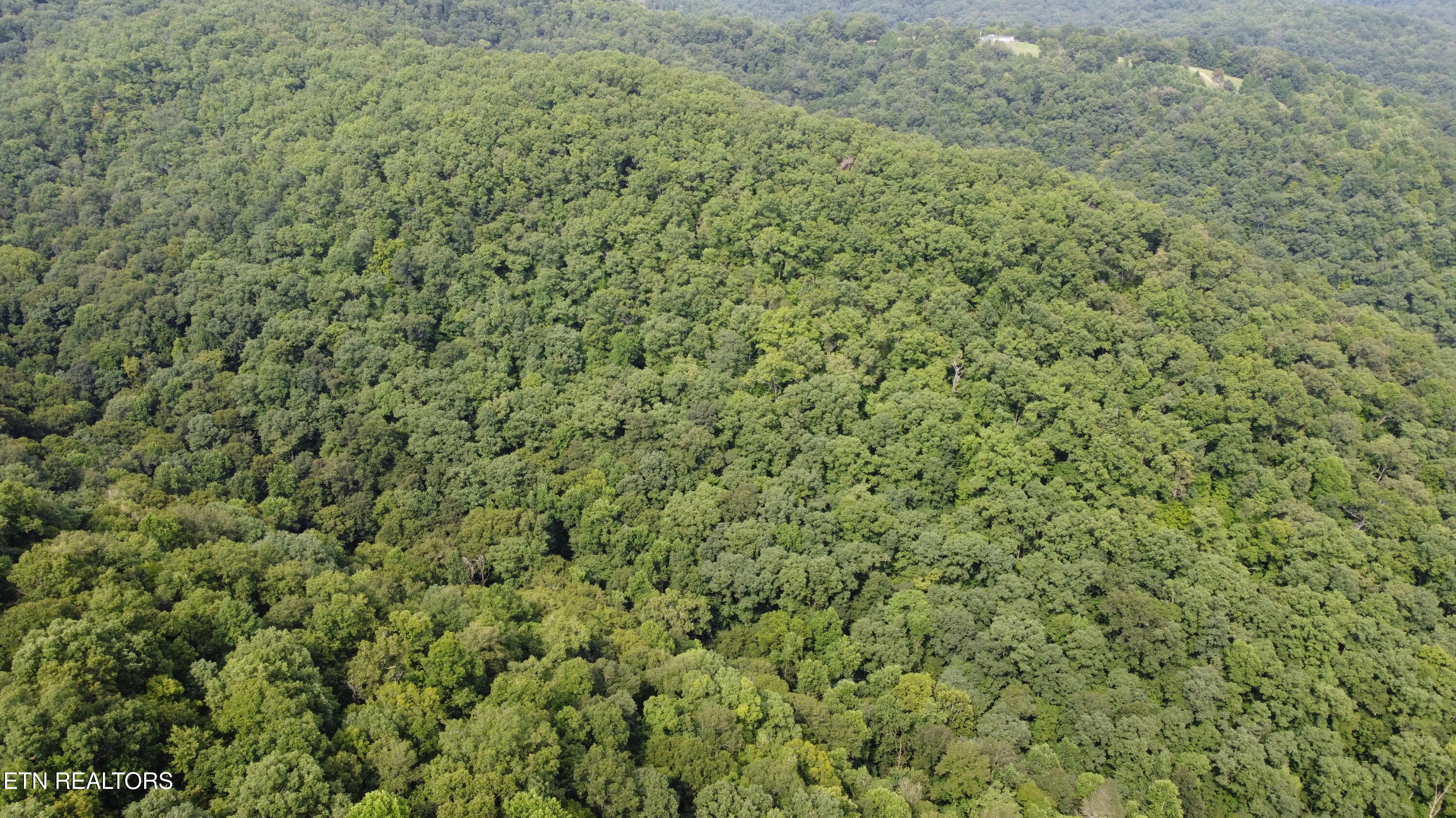 Lonesome Valley Road New Tazewell TN 37825