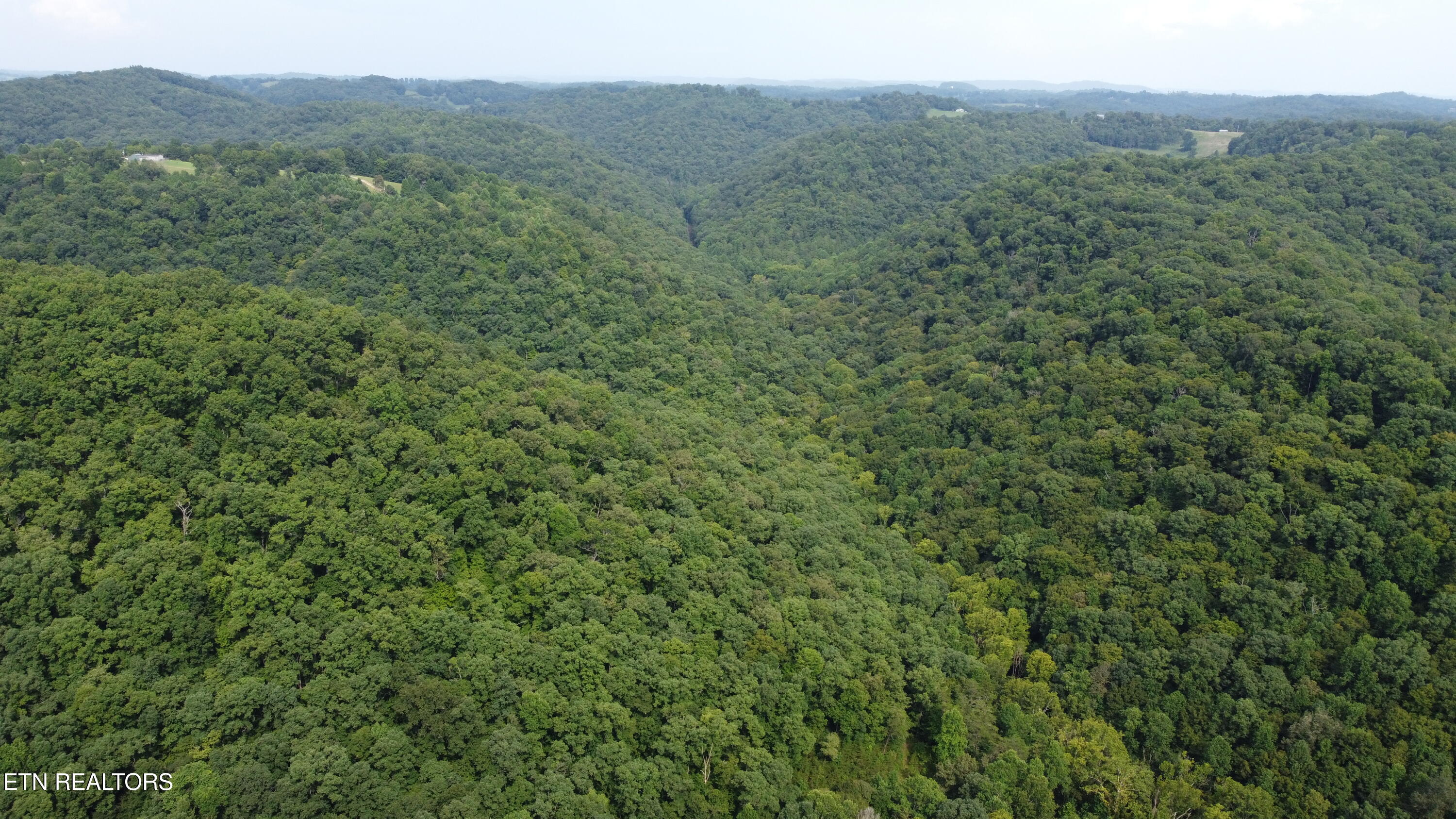 Lonesome Valley Road New Tazewell TN 37825