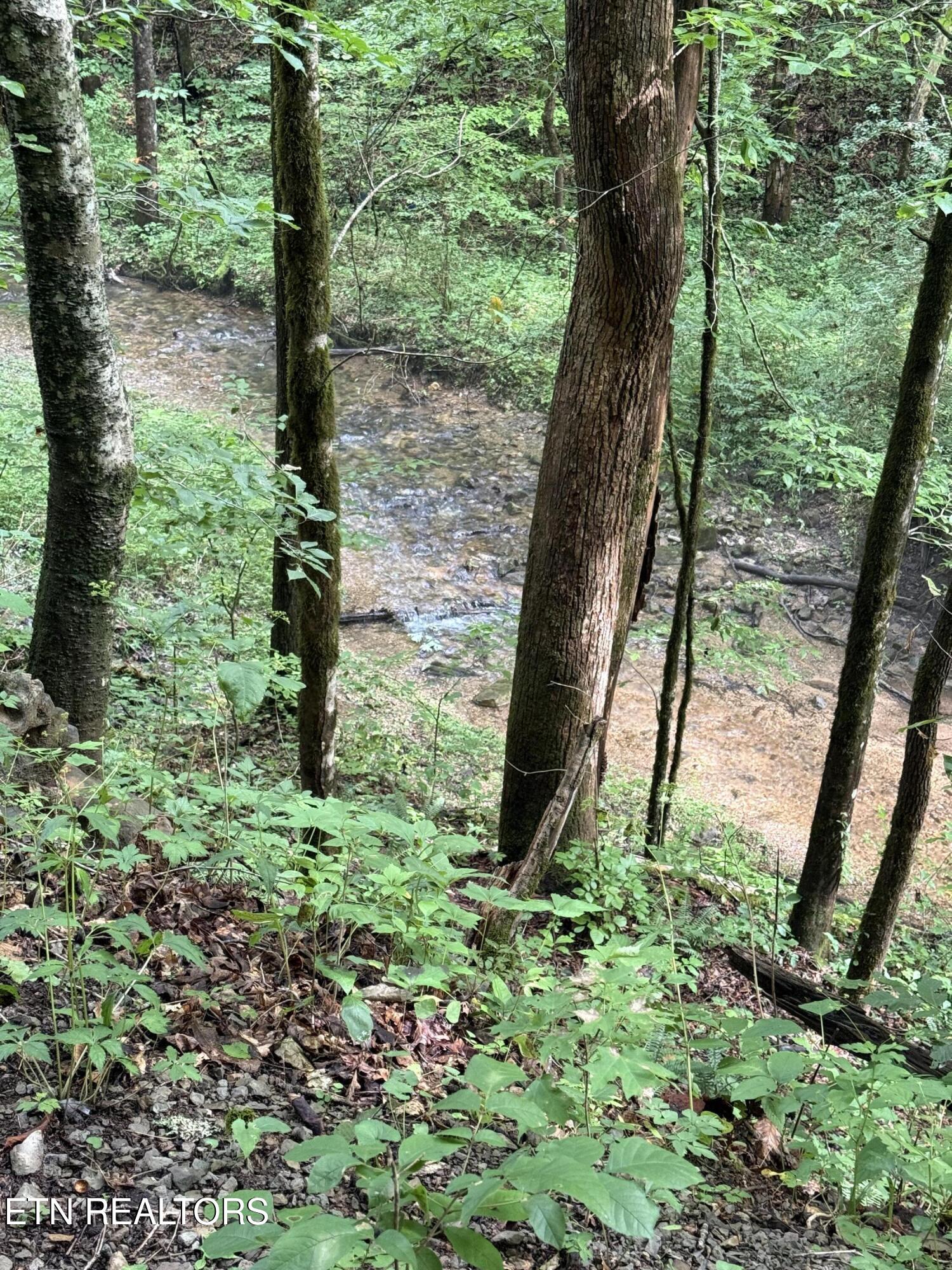 Lonesome Valley Road New Tazewell TN 37825
