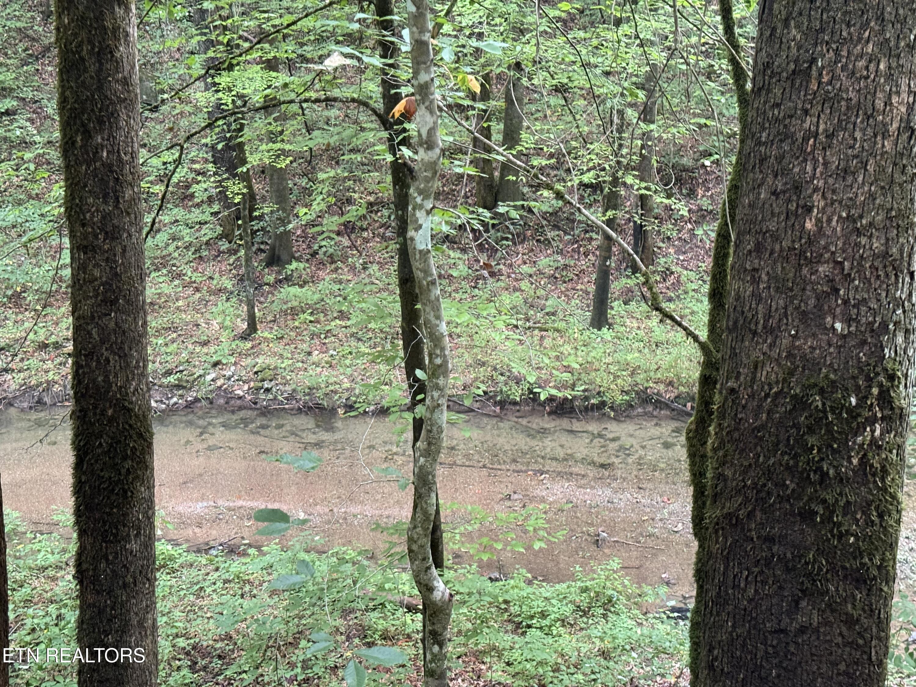 Lonesome Valley Road New Tazewell TN 37825