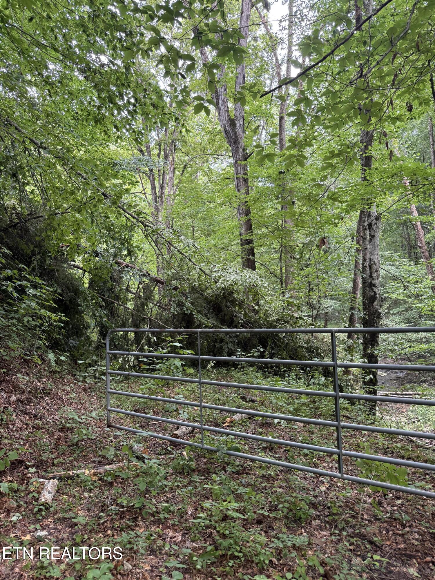 Lonesome Valley Road New Tazewell TN 37825