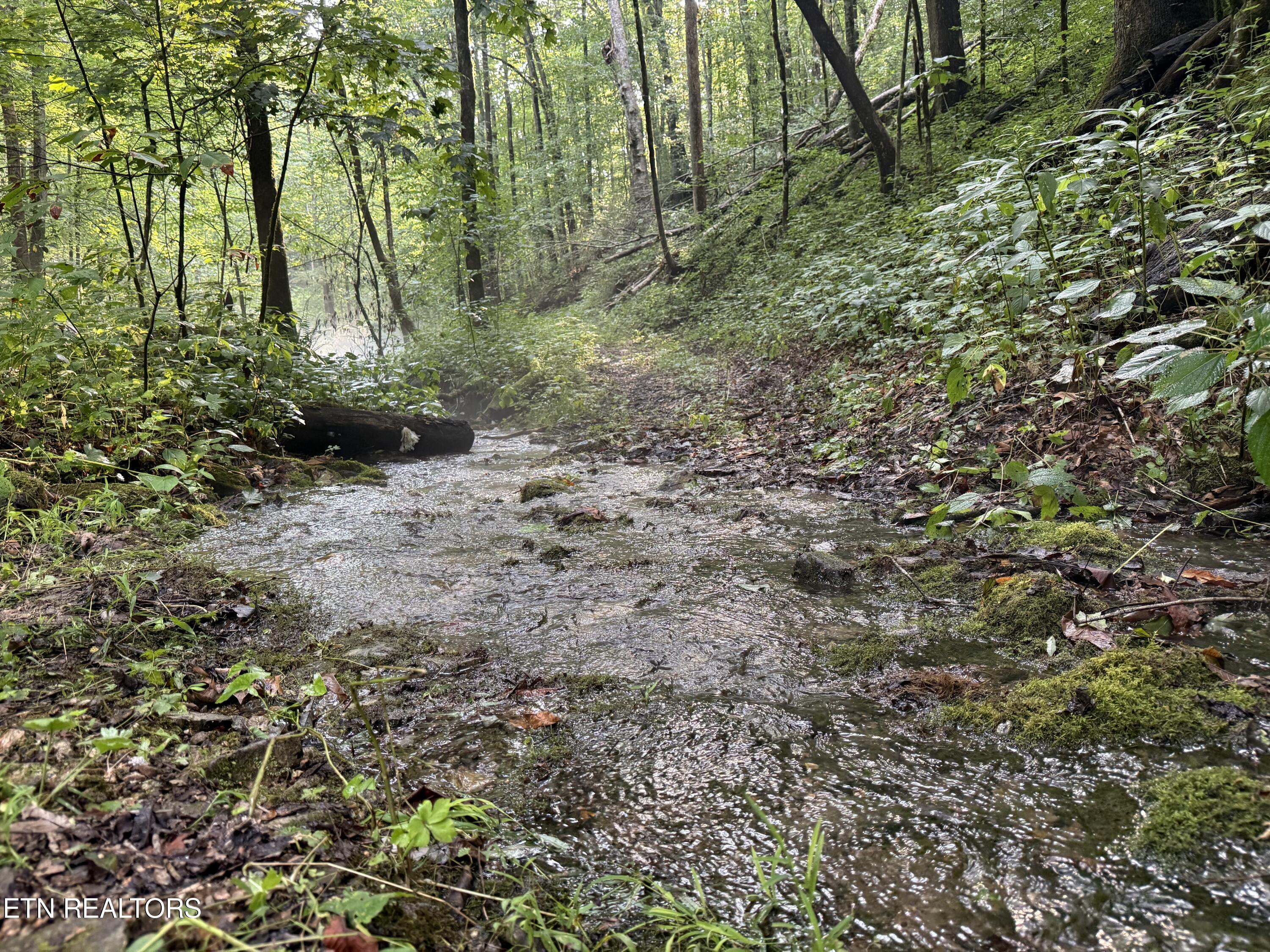 Lonesome Valley Road New Tazewell TN 37825