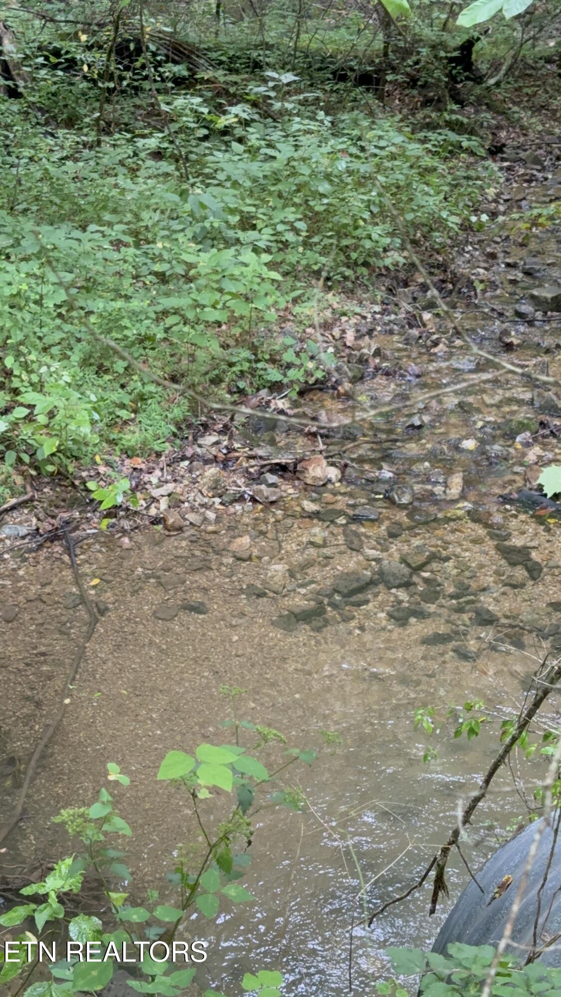 Lonesome Valley Road New Tazewell TN 37825