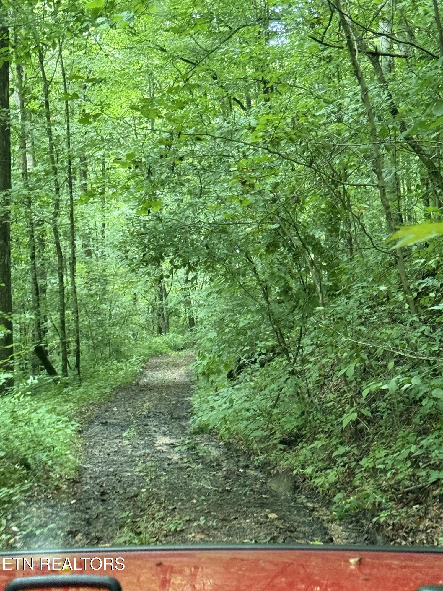 Lonesome Valley Road New Tazewell TN 37825