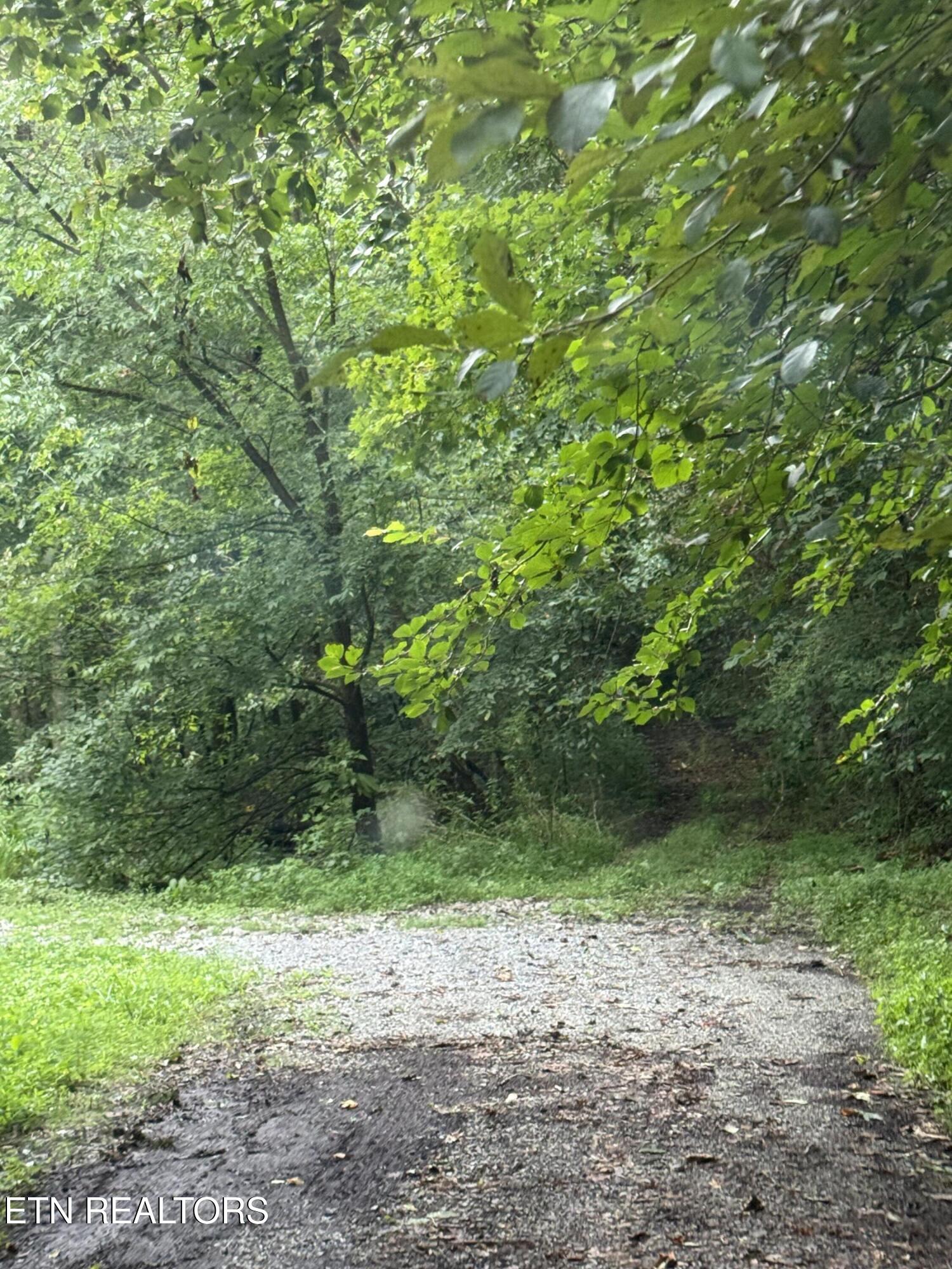 Lonesome Valley Road New Tazewell TN 37825