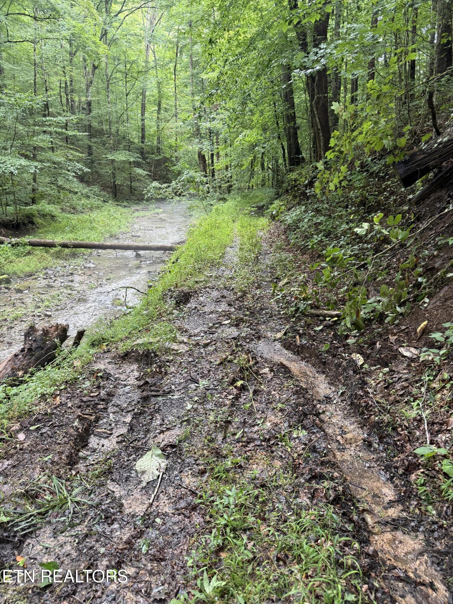 Lonesome Valley Road New Tazewell TN 37825