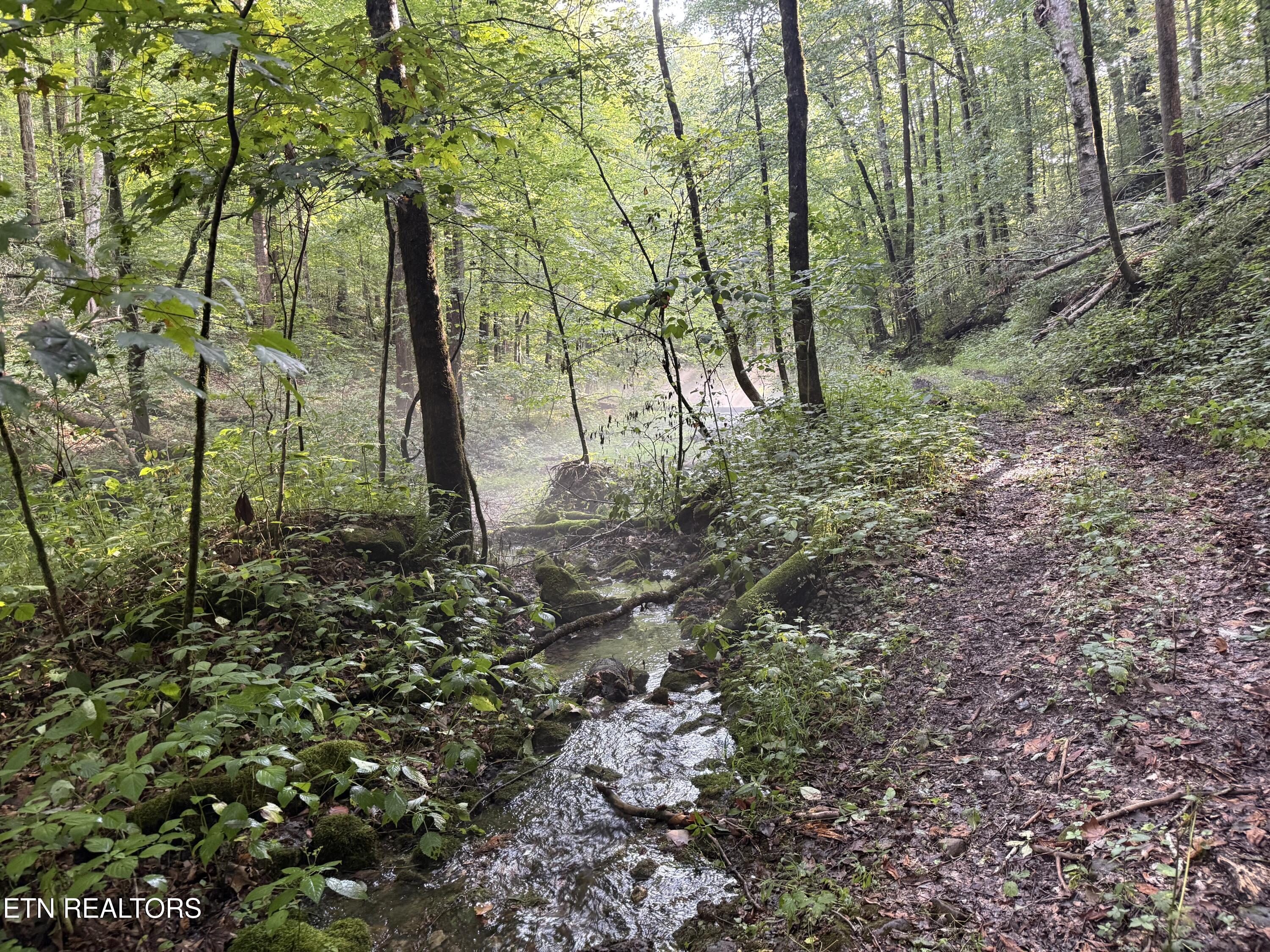 Lonesome Valley Road New Tazewell TN 37825