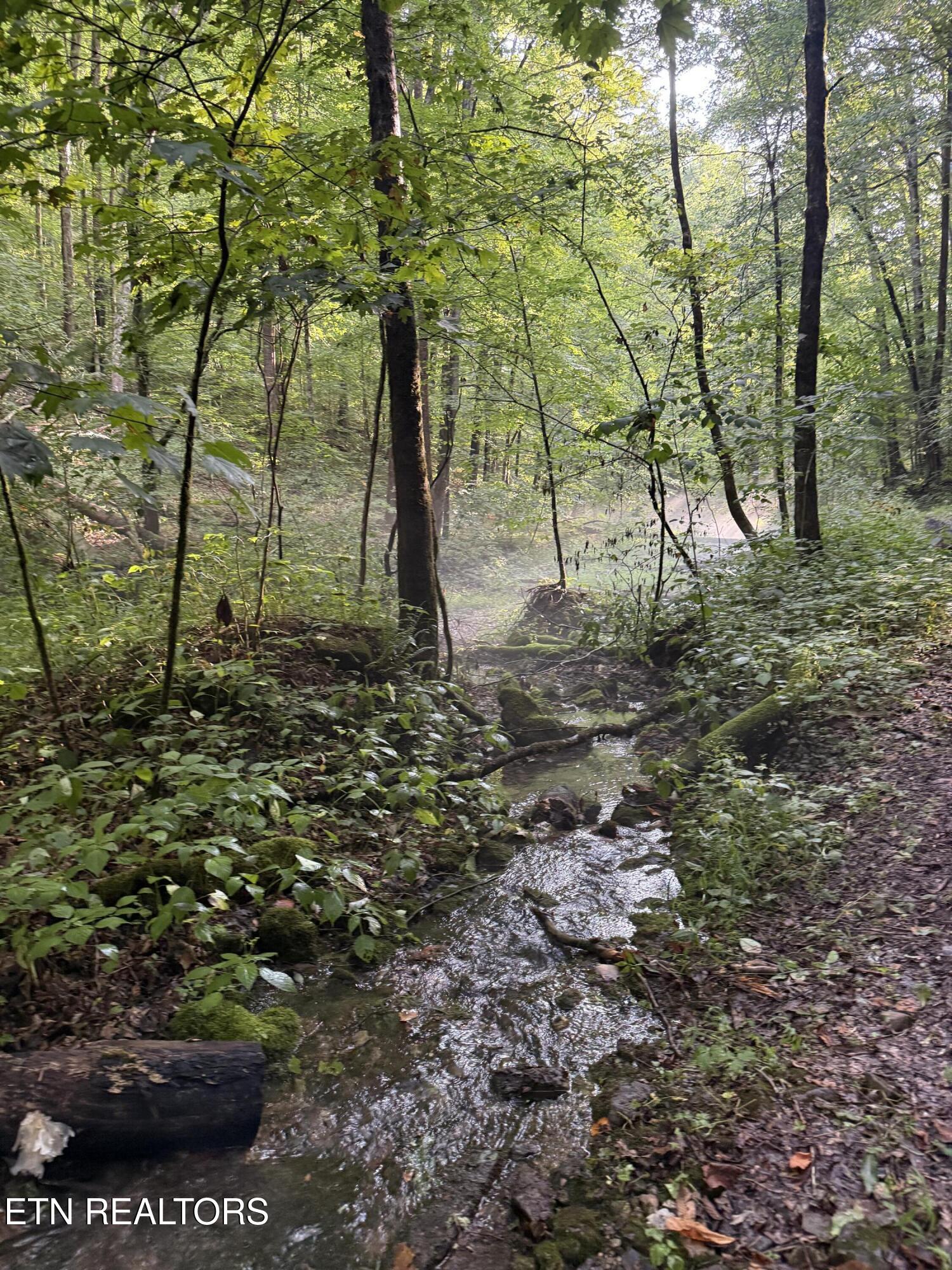 Lonesome Valley Road New Tazewell TN 37825