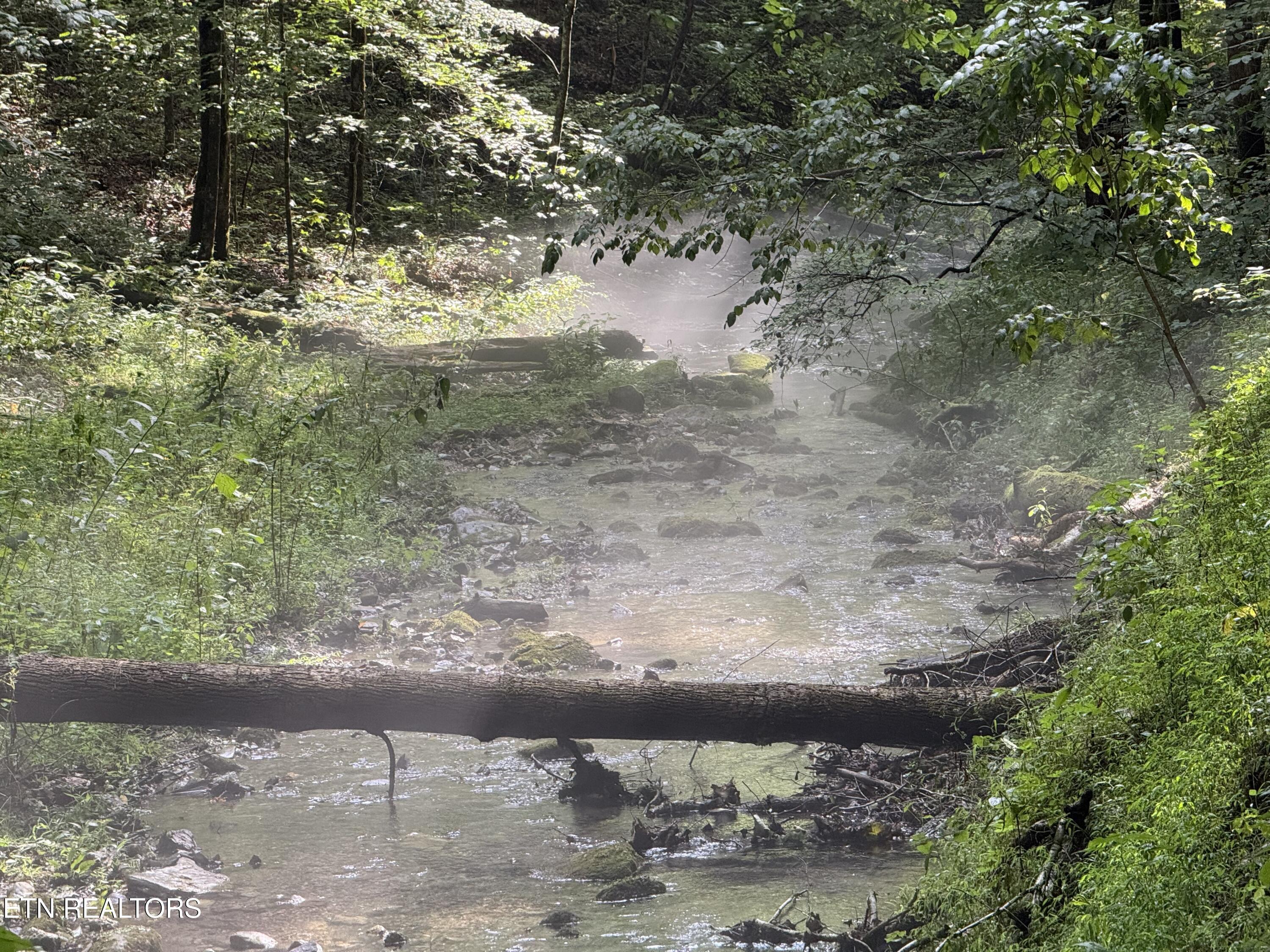 Lonesome Valley Road New Tazewell TN 37825