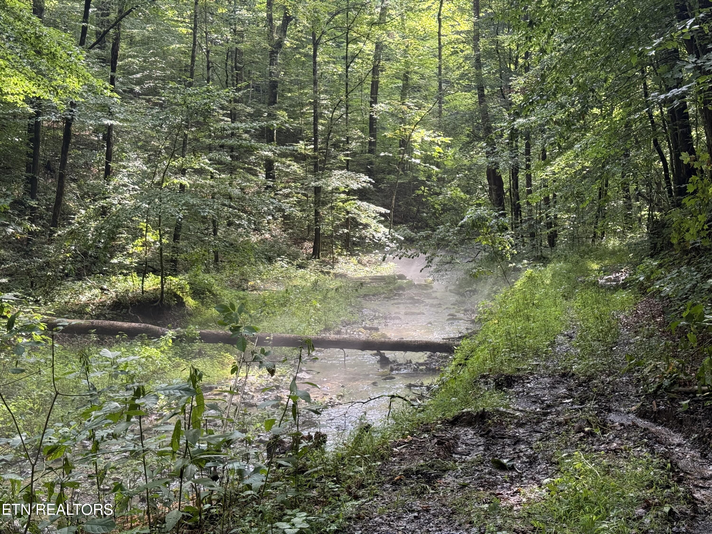 Lonesome Valley Road New Tazewell TN 37825