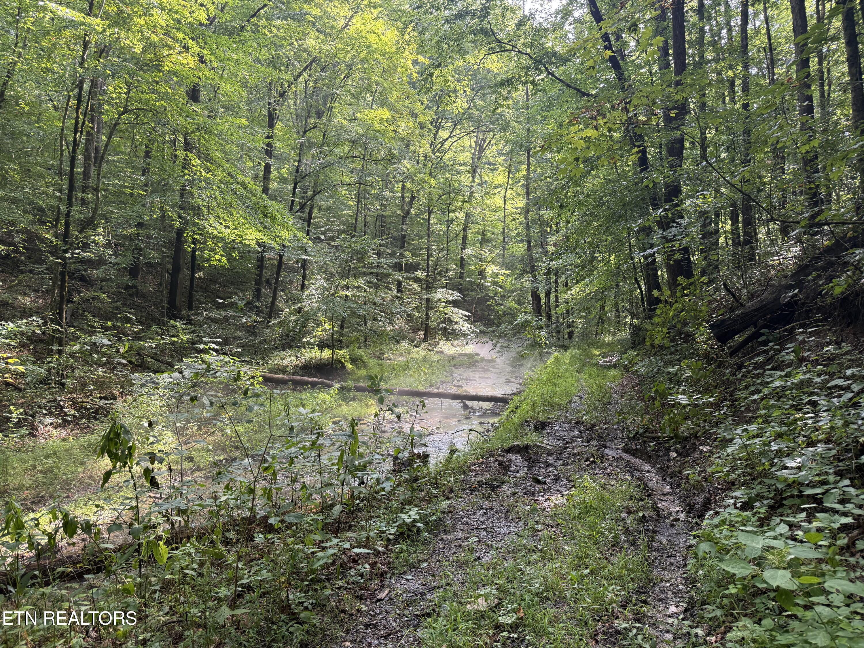 Lonesome Valley Road New Tazewell TN 37825