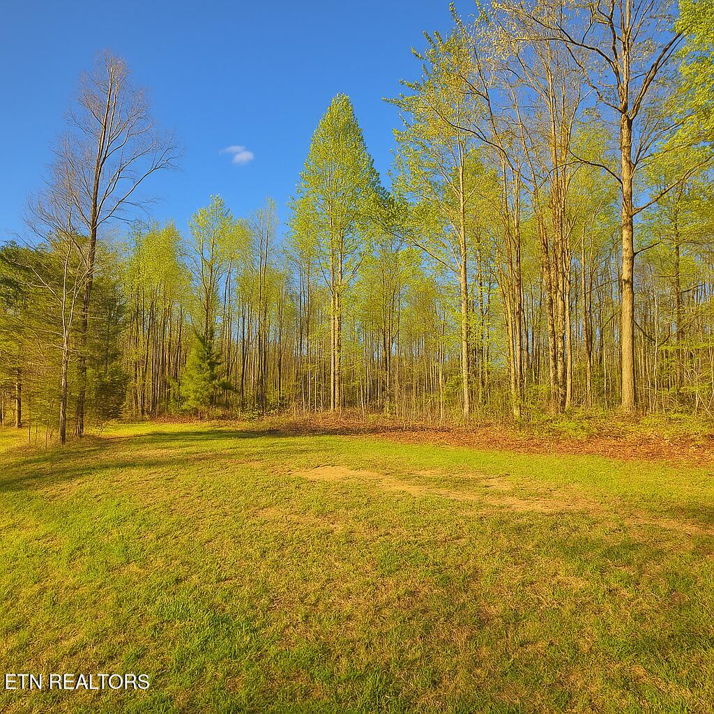 50184 Buckeye Lane Crawford TN 38554