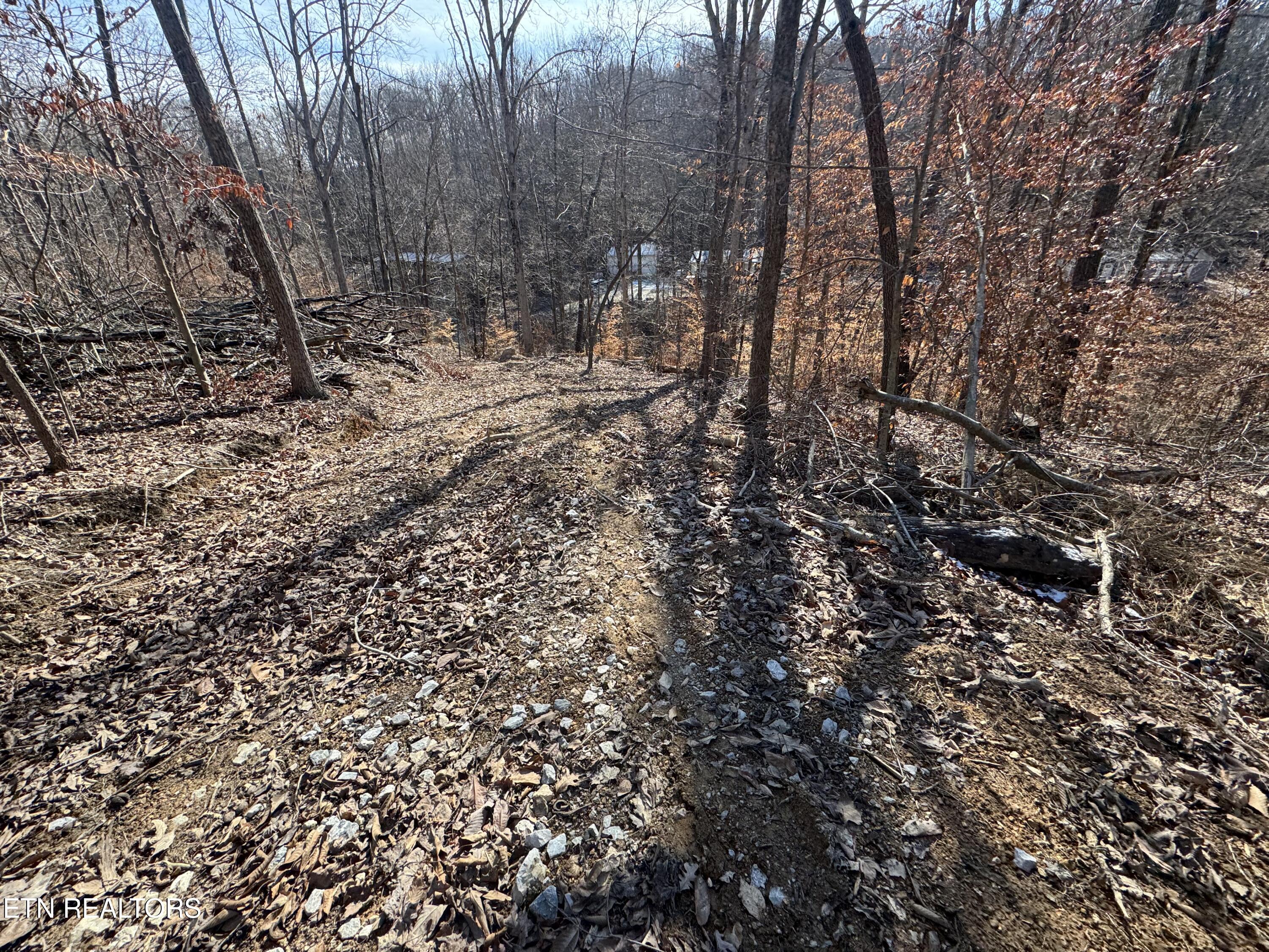 136 Toby Hollow Lane Knoxville TN 37931