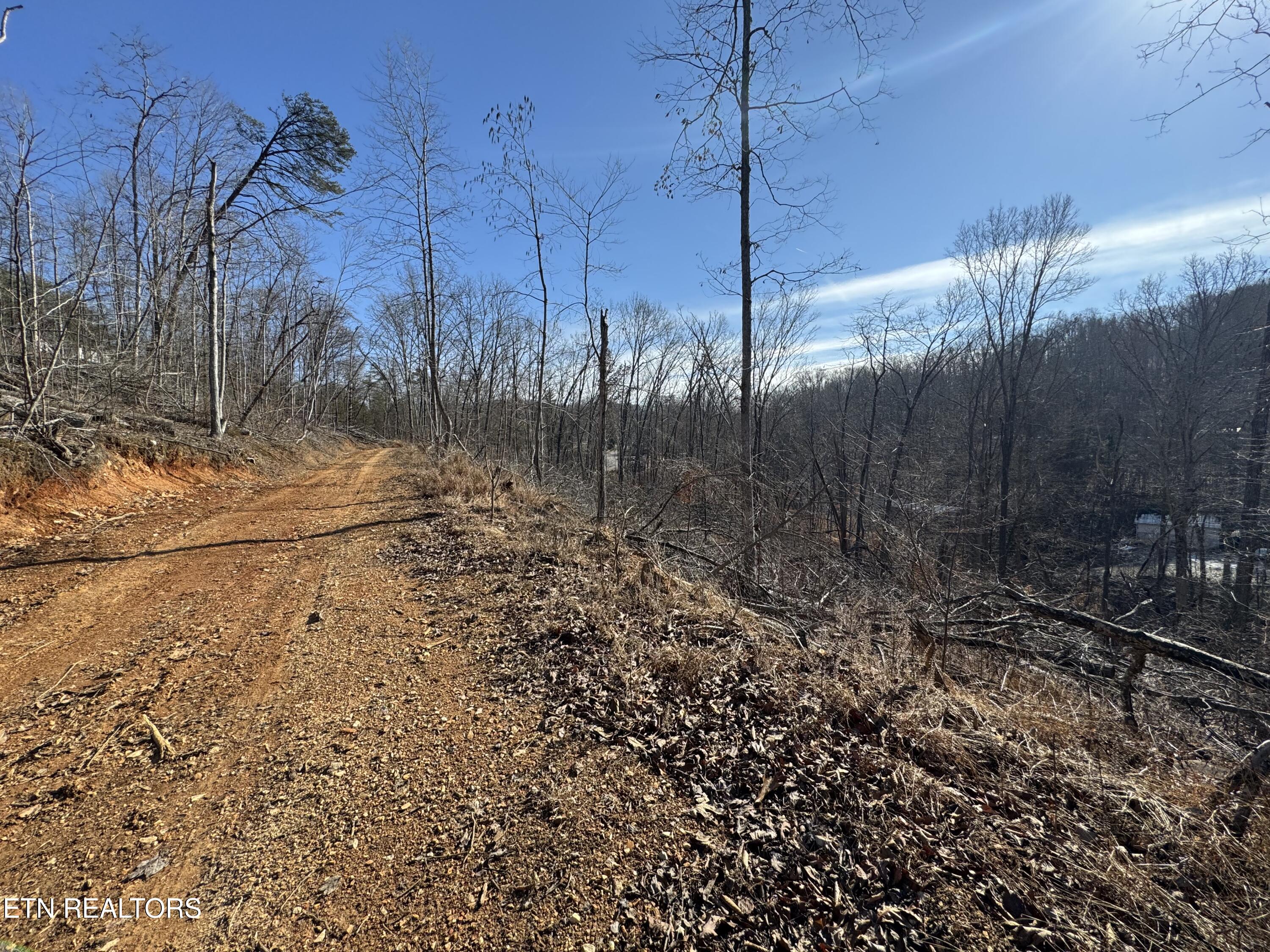 136 Toby Hollow Lane Knoxville TN 37931