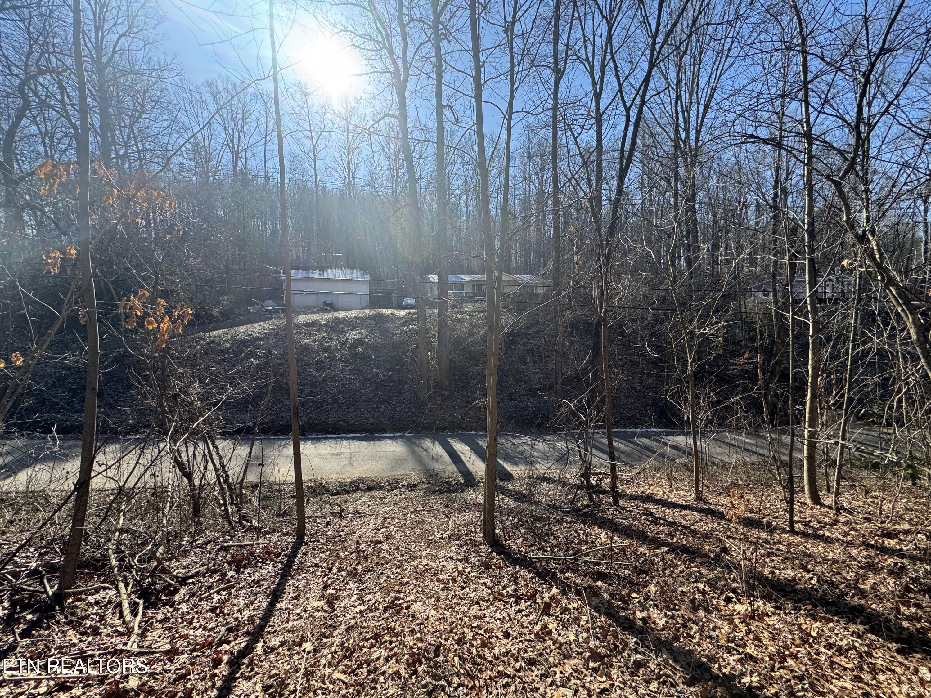 136 Toby Hollow Lane Knoxville TN 37931