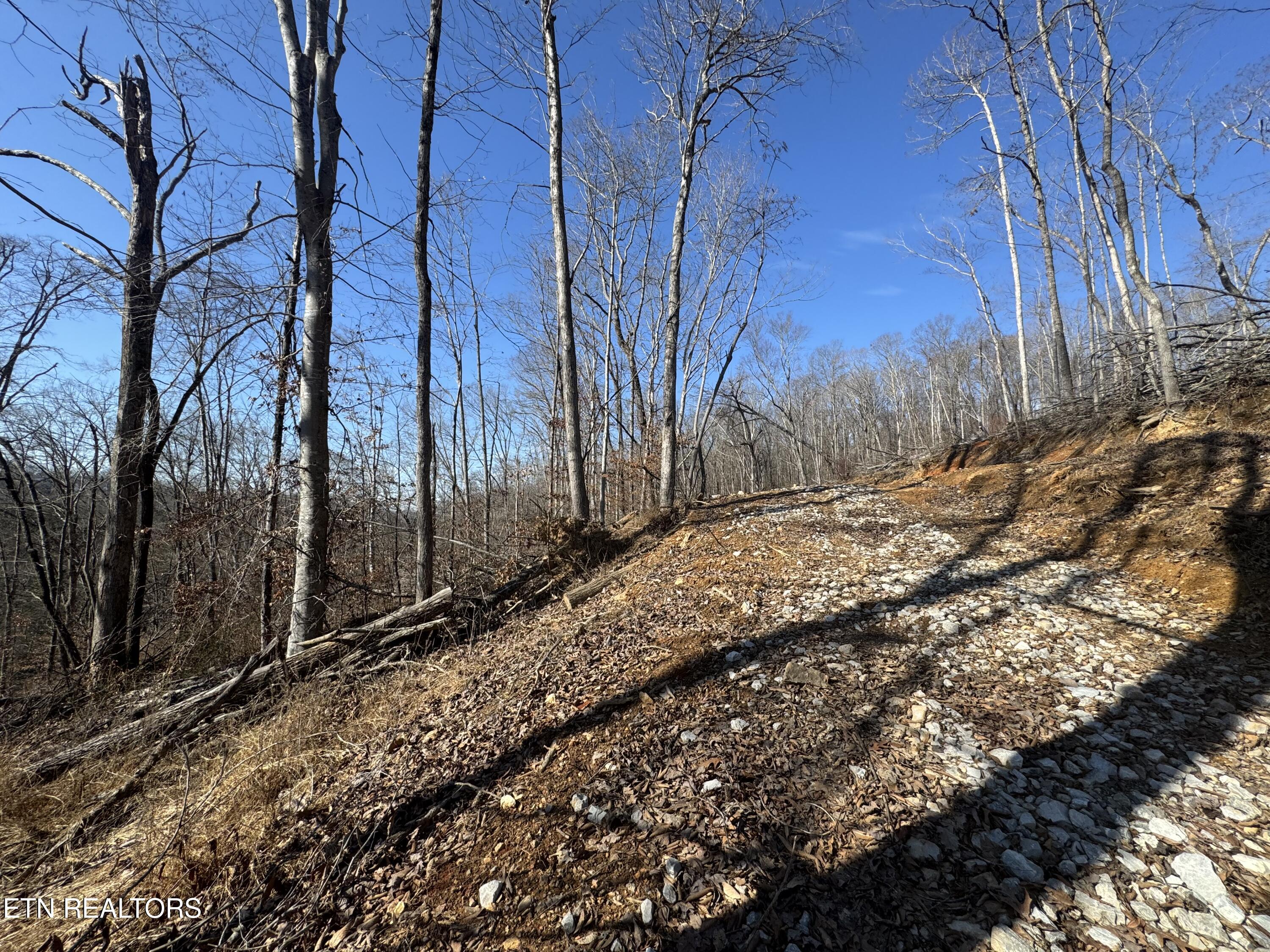 136 Toby Hollow Lane Knoxville TN 37931
